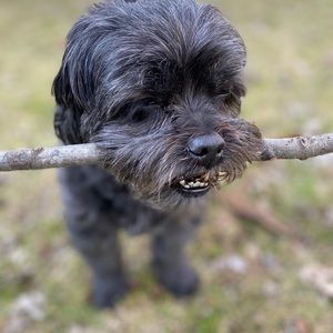 Meet your Posher, Brooke